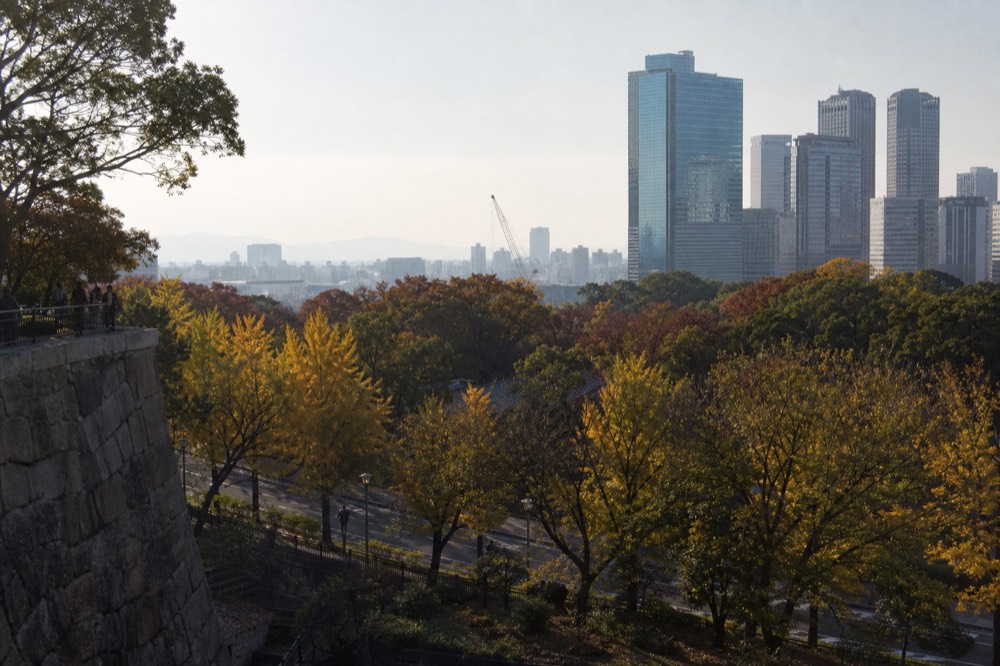 Modern hotel towers of central Osaka seen beyond the castle park treetops