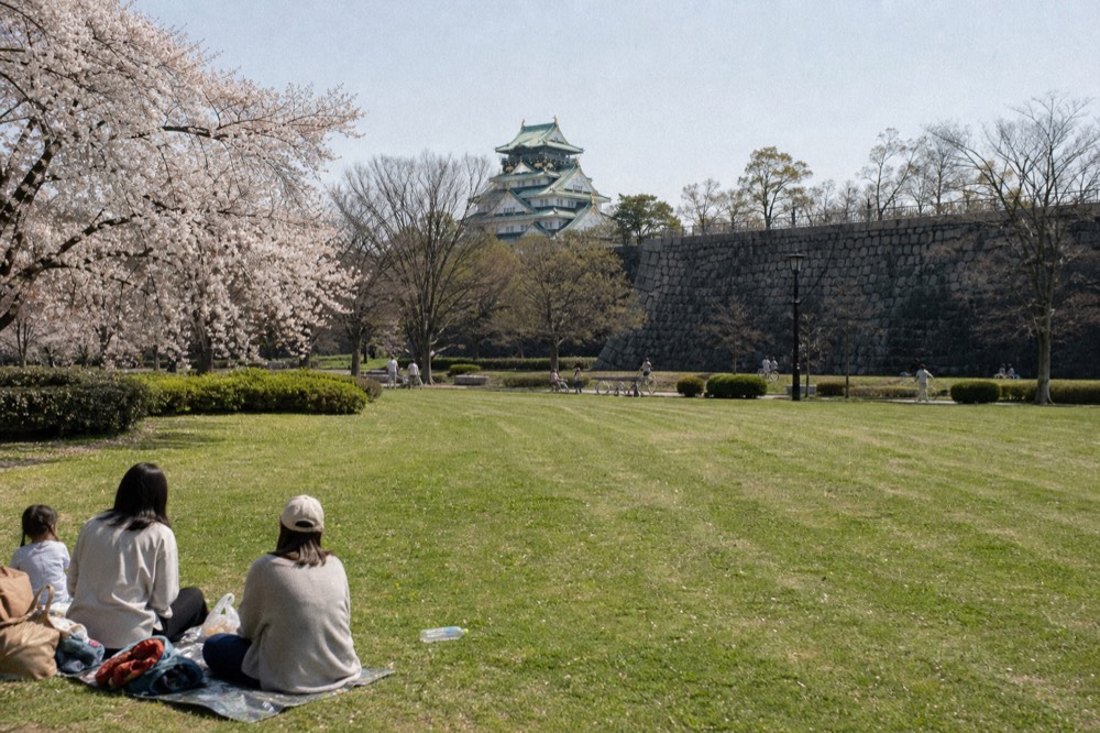 Wide green park lawn with stone walls and castle tower in the distance