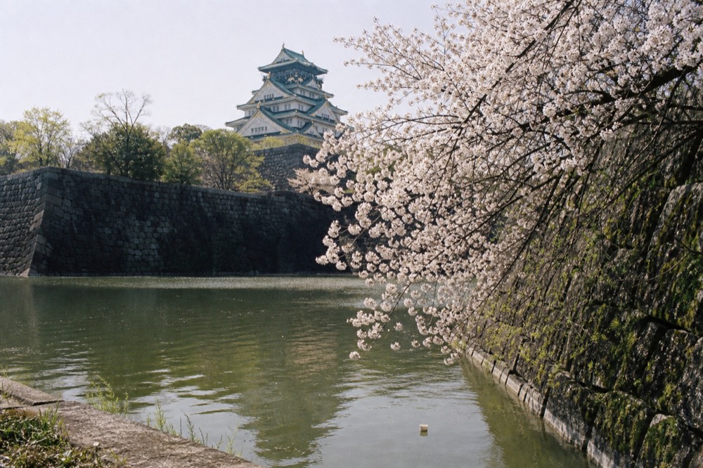 Osaka Castle tower seen across the inner moat with cherry trees