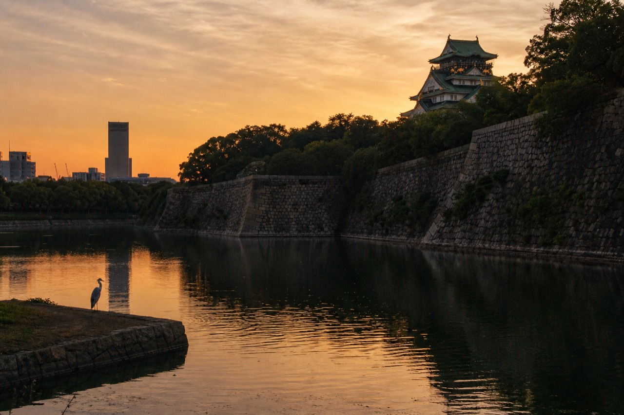 Stone walls and moat of Osaka Castle with the white tower rising above the trees