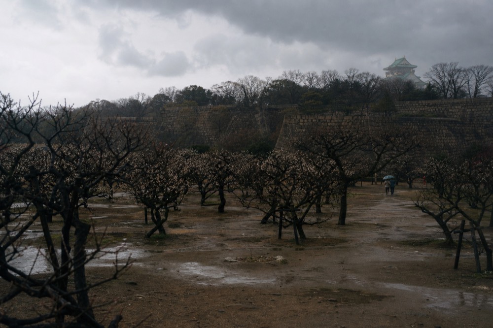 Rain clouds gathering over Osaka Castle and the park treetops