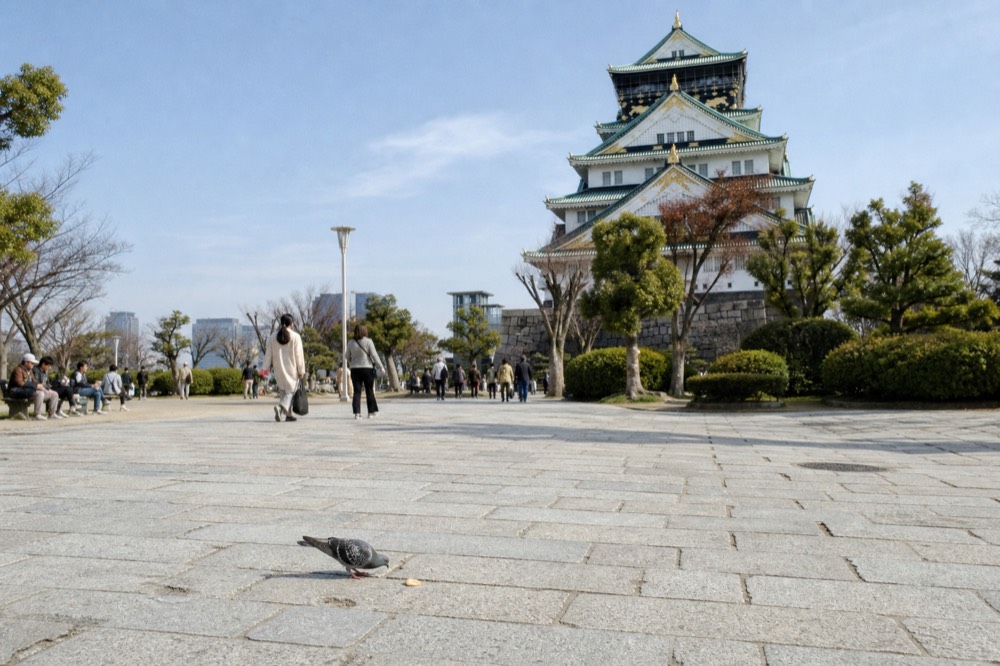 A wide-angle view of the open plaza in front of Osaka Castle Main Tower with visitors walking across the stone-paved square on a clear day