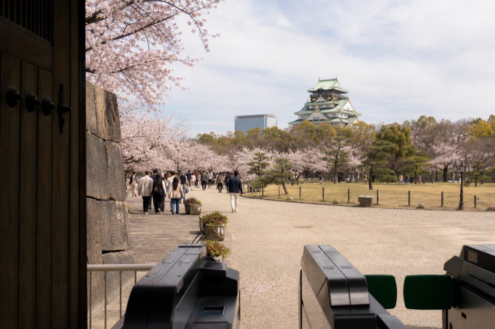 Nishinomaru Garden lawn with cherry trees in bloom and the Main Tower in the background