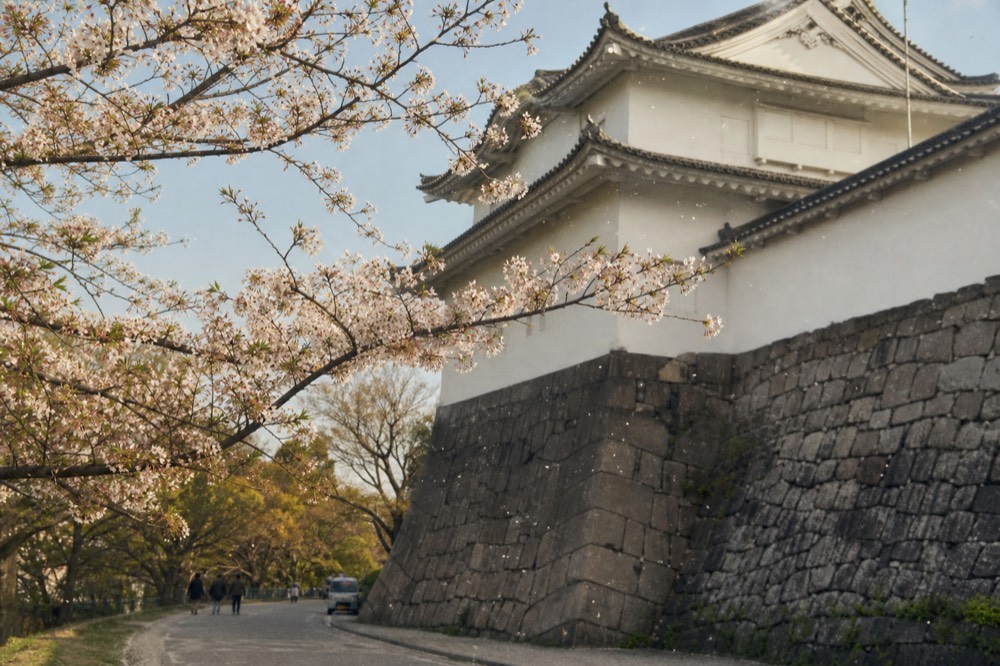 Sengan-yagura turret with cherry tree branches in the foreground