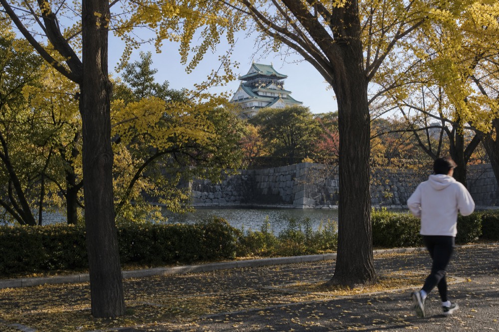 The castle tower seen from a park path beside the moat