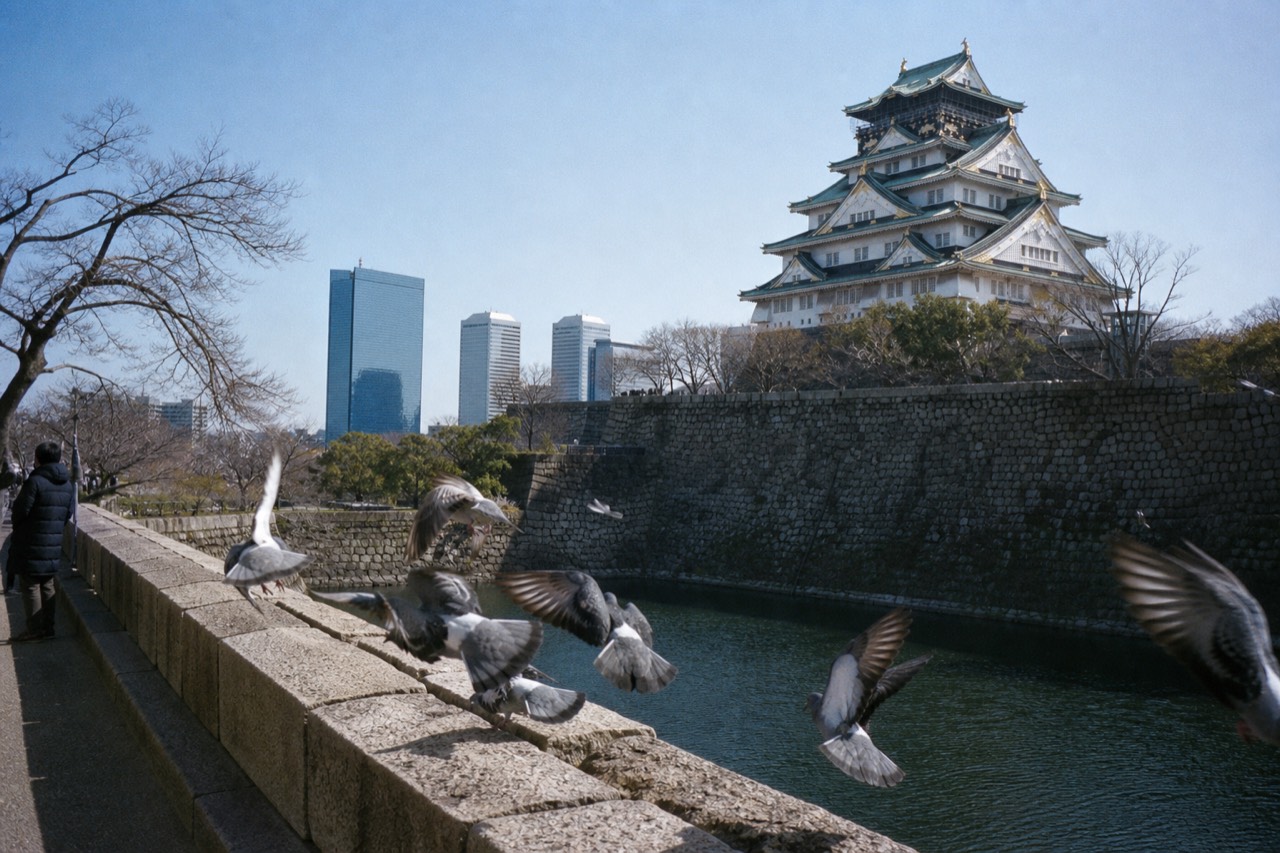 The white Osaka Castle Main Tower rising above moat and stone walls under a clear sky