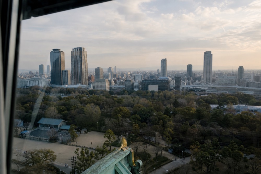 A modern city skyline of tall buildings photographed from a high observation deck